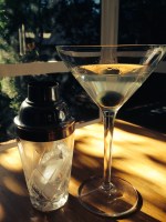 Four Pillars Gin Martini