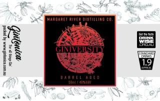 gintonica - 60mm x 38mm advent bottle - ginversity - barrel aged