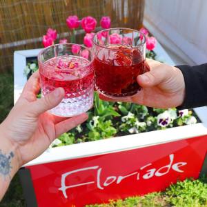 Image credit: Spoon Full of Canberra 